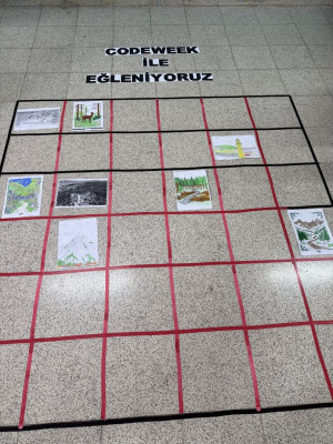 Bozok Yaylası'nda Kodlama Macerası: 4/B Sınıfı Yozgat'ı Keşfediyor